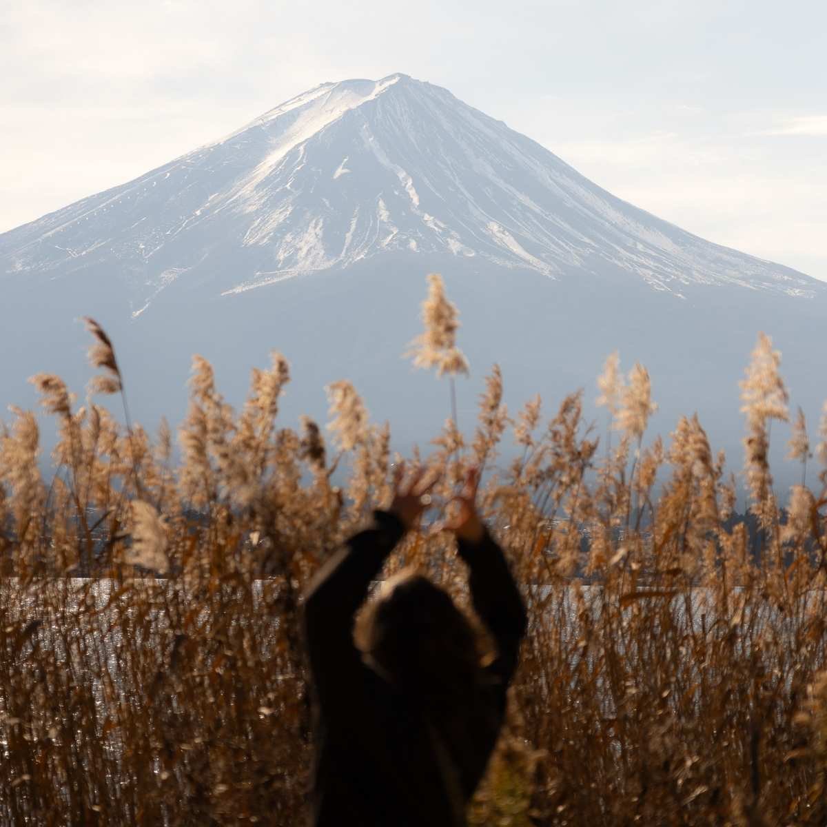Le Mont Fuji