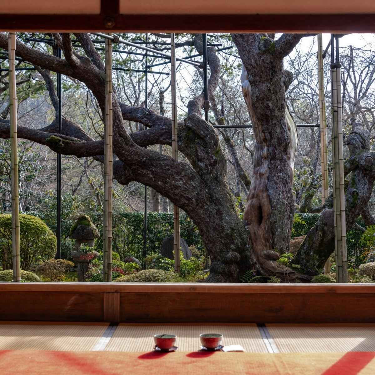 Ohara, Kyoto