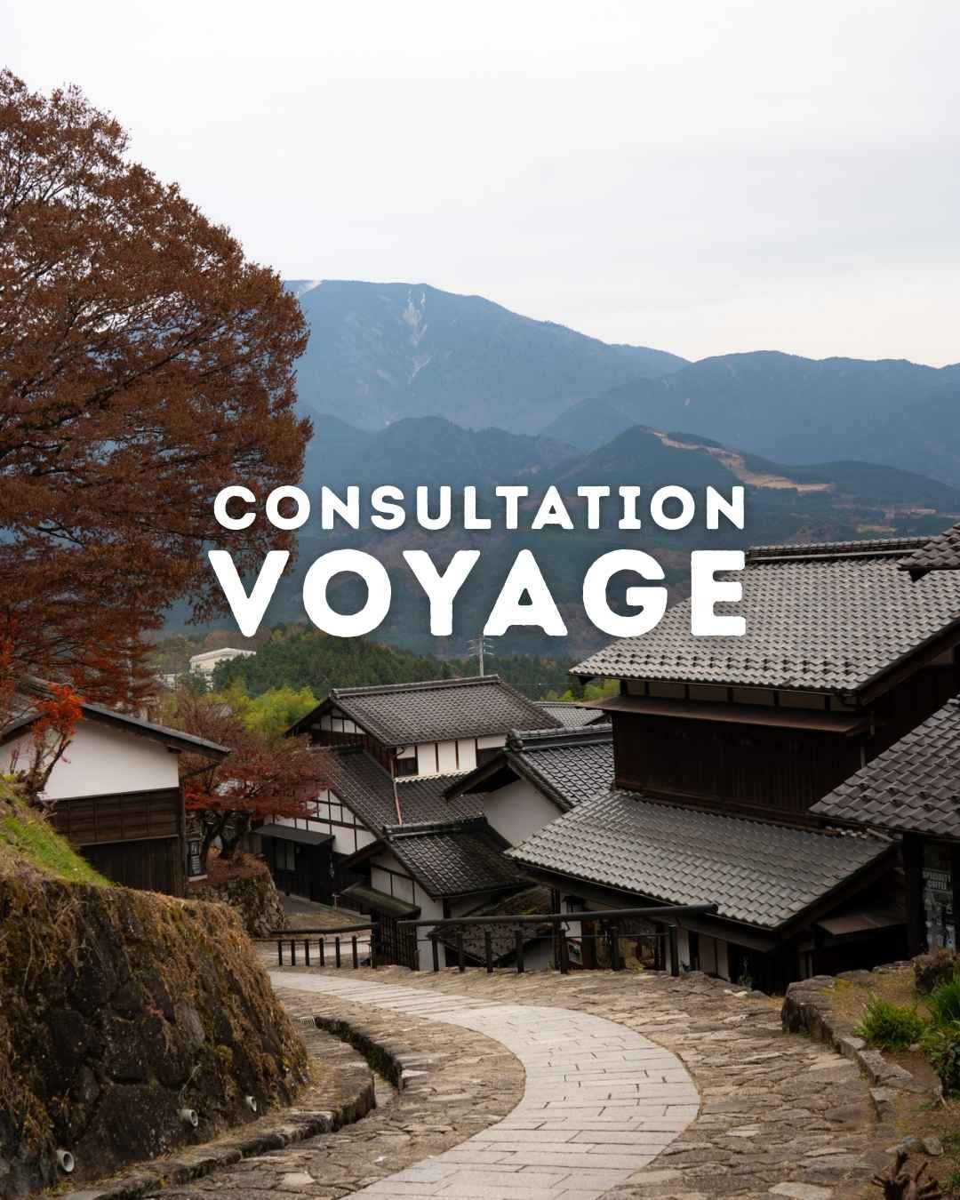 Consultation Voyage – 1h